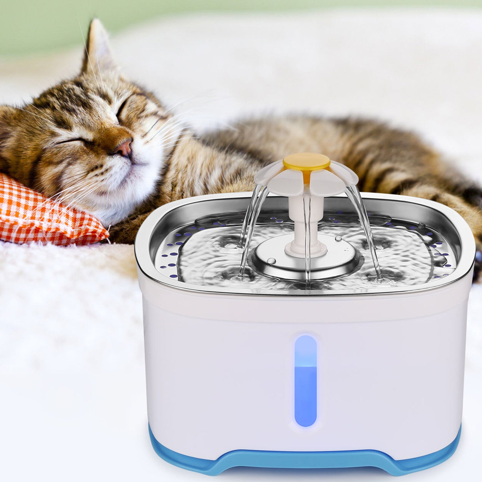 💧 Pawtain 2.5L Fresh Flow Pet Fountain