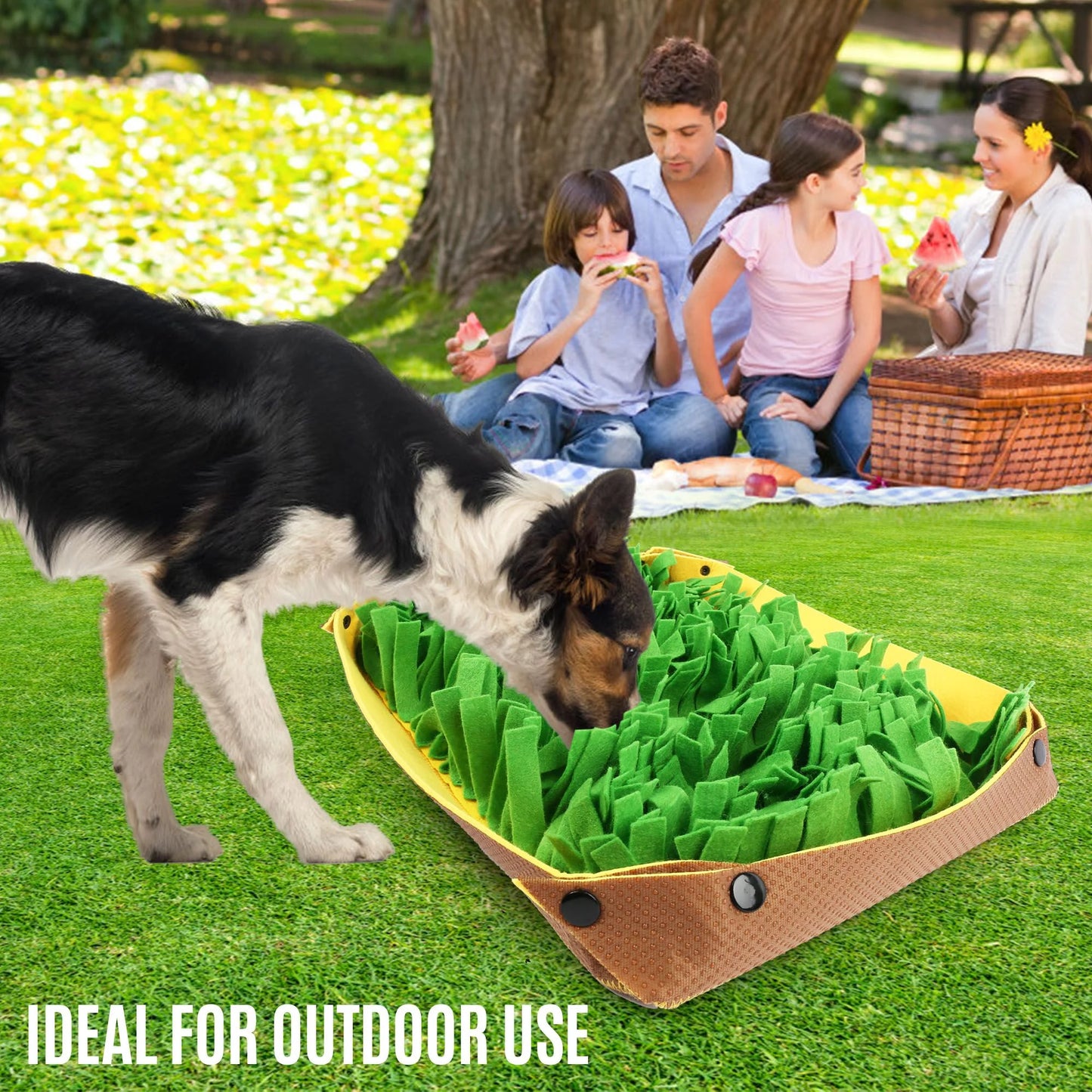 Washable Dog Snuffle Mat – For Happy, Busy Pups