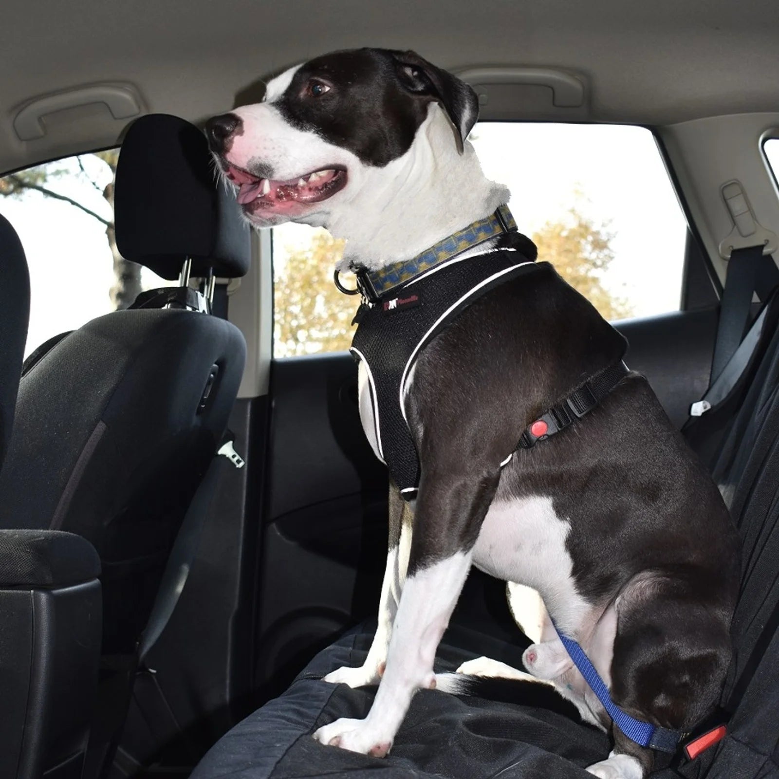 🚙 PawPalace Waterproof Car Hammock Seat Cover
