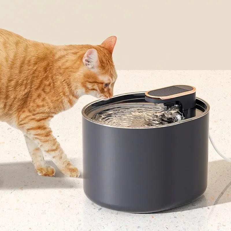 💧 AquaPaws LED Pet Water Fountain