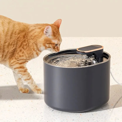 💧 AquaPaws LED Pet Water Fountain