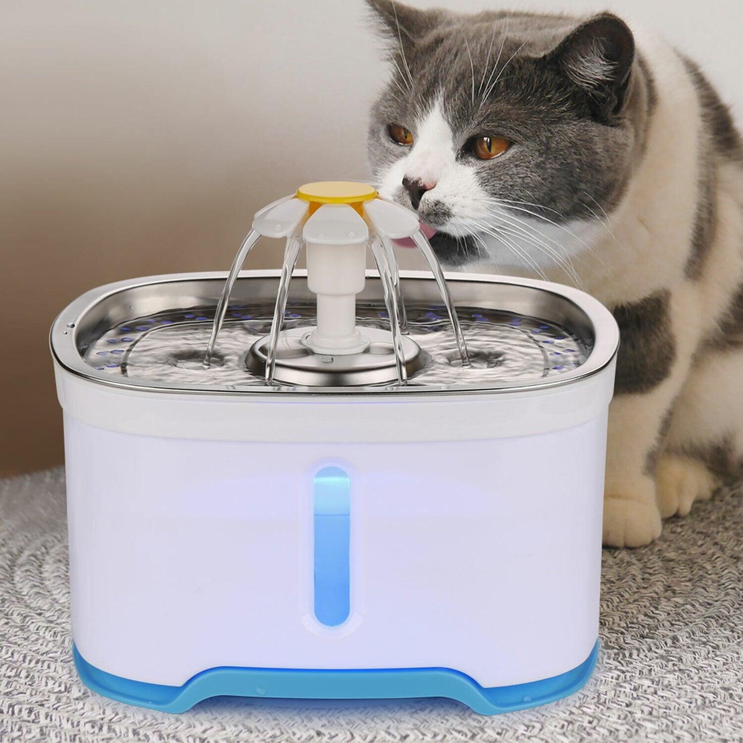 💧 Pawtain 2.5L Fresh Flow Pet Fountain