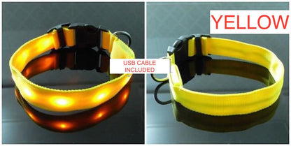 🌟 USB Rechargeable LED Pet Collar – Flash & Glow