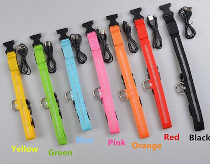 🌟 USB Rechargeable LED Pet Collar – Flash & Glow