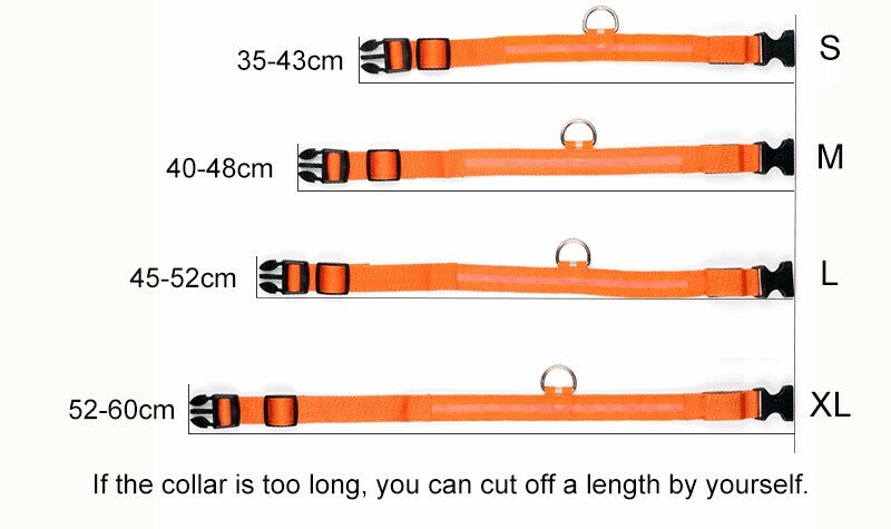 🌟 USB Rechargeable LED Pet Collar – Flash & Glow