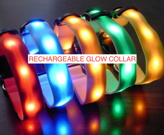 🌟 USB Rechargeable LED Pet Collar – Flash & Glow