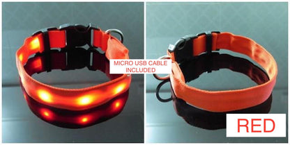 🌟 USB Rechargeable LED Pet Collar – Flash & Glow