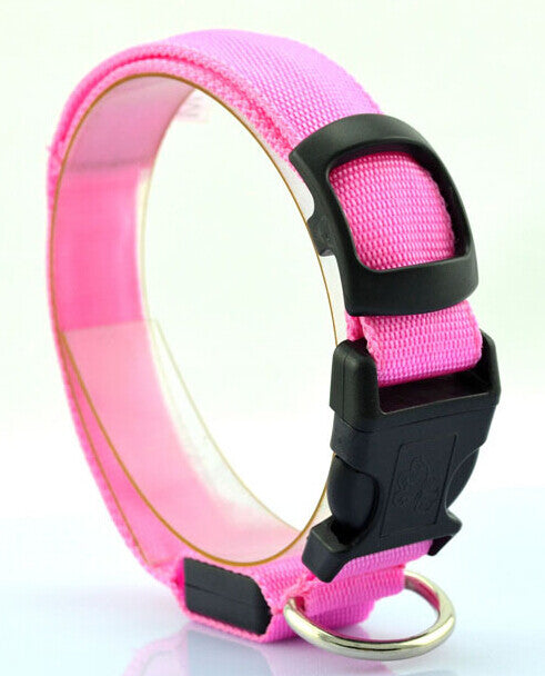 🌟 USB Rechargeable LED Pet Collar – Flash & Glow