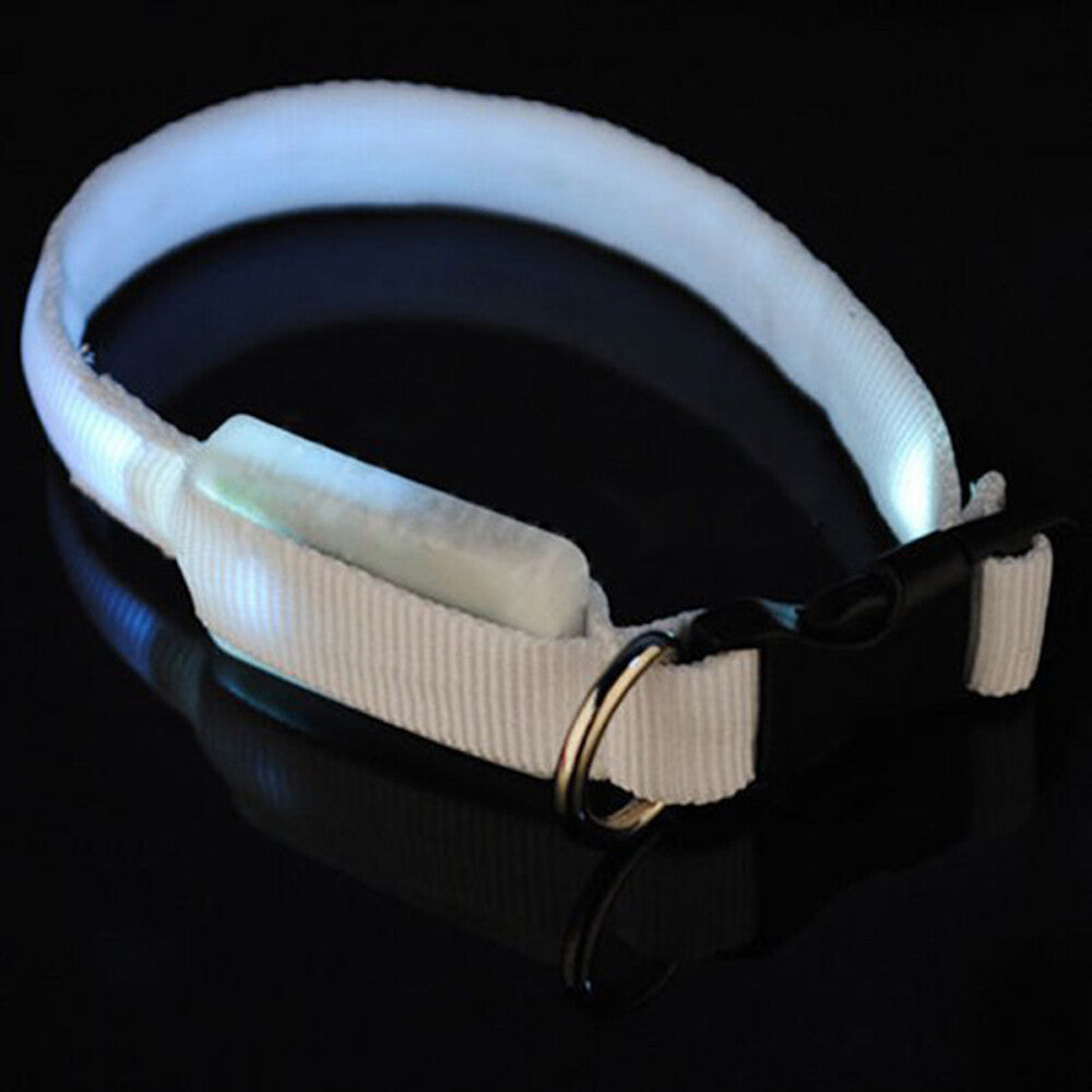 🌟 USB Rechargeable LED Pet Collar – Flash & Glow