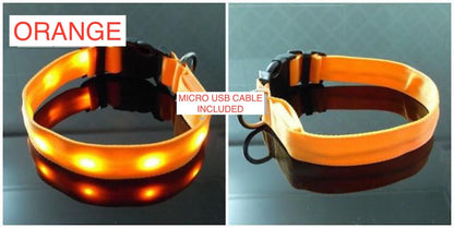 🌟 USB Rechargeable LED Pet Collar – Flash & Glow